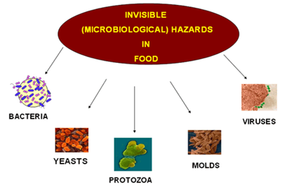 food safety hazards biological figure medcraveonline