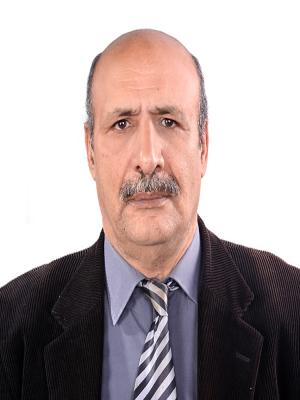 Hassan Abdelwahed abdalla Shora