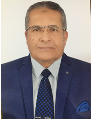 Professor Mohamed Abdul Haye Autifi Bakheet