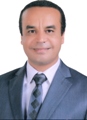 Professor Wael Amin Mahmoud Seif Nasr El-Din