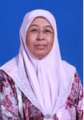 Professor Zanariah Abdullah
