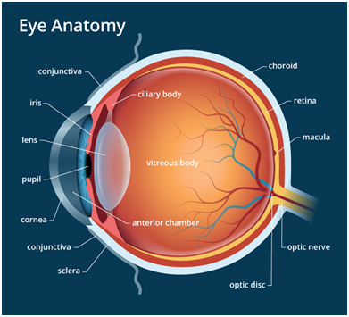 A comprehensive study on eye issues and modern developments in visual ...