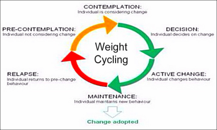 Transtheoretical Model Key Constructs Applied To The Intervention 