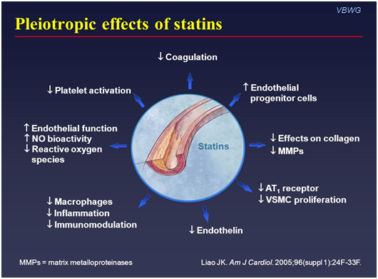 Pleiotropic effects of statins
