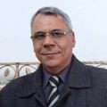 Professor Mahmoud E Gabr
