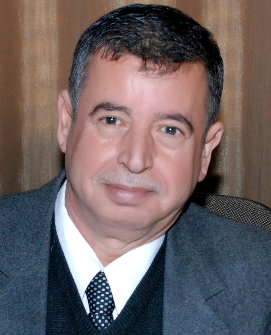 Professor Ahmad Mohammad Khalil