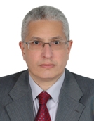 Professor Amr Salah El-Dieb